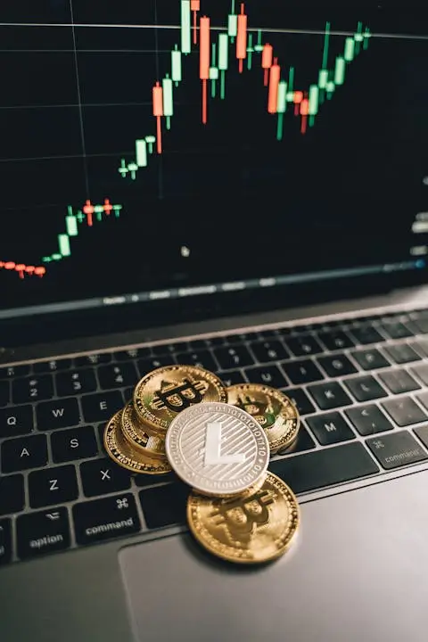 ¿Afiliación y partner digital o Trading?